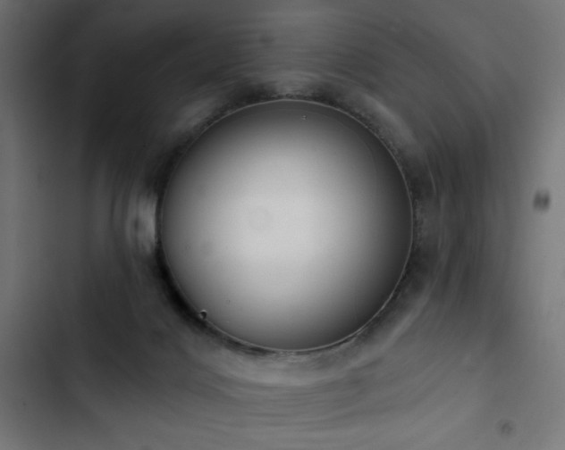 X0000103490028200809121725