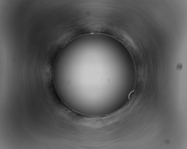 X0000103490029200809121725