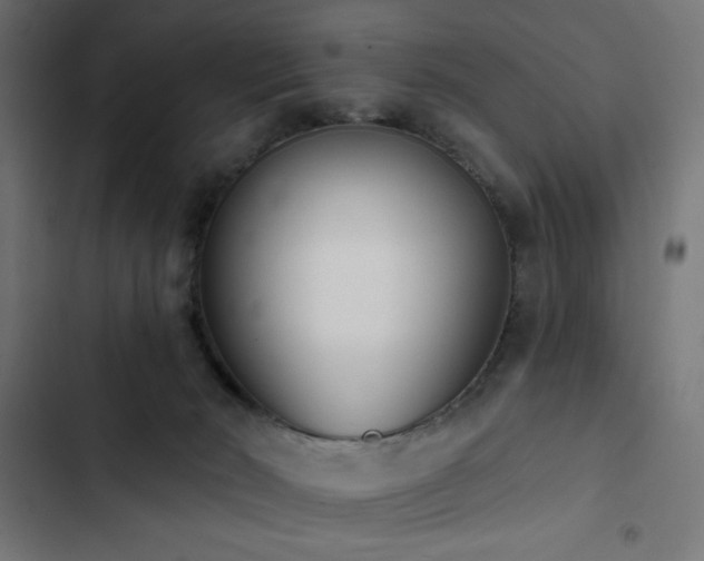 X0000103490030200809121725