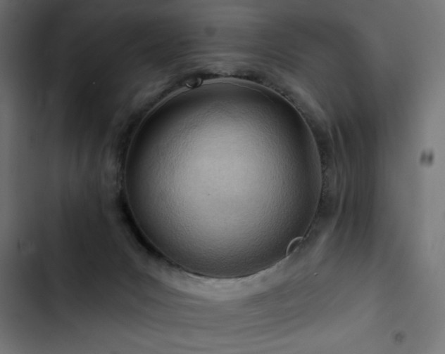 X0000103490031200809121725