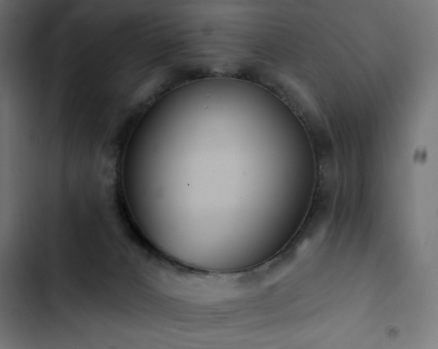 X0000103490032200809121725