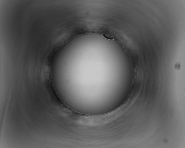 X0000103490033200809121725