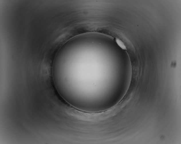 X0000103490035200809121725