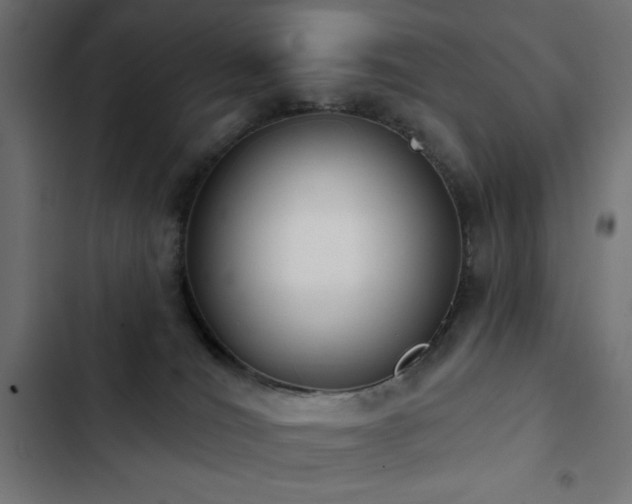 X0000103490036200809121725