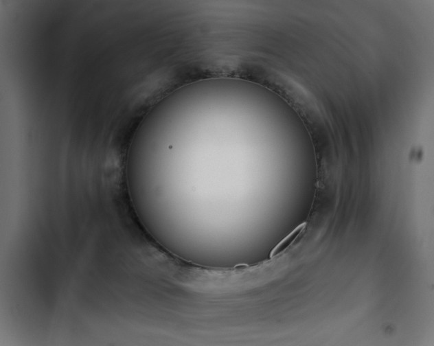 X0000103490037200809121725