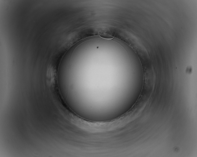 X0000103490038200809121725