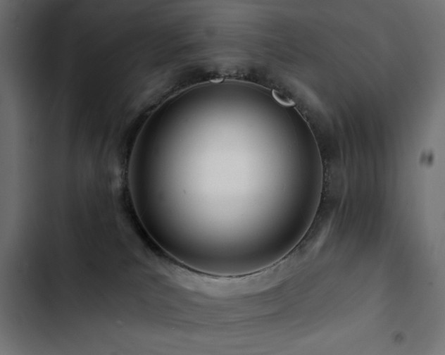 X0000103490039200809121725