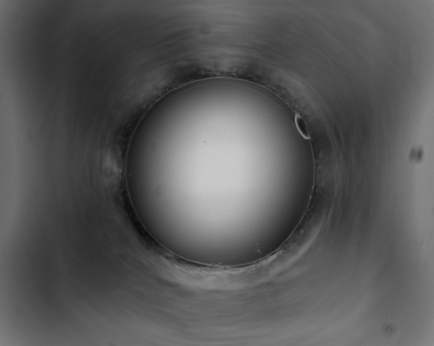 X0000103490040200809121725