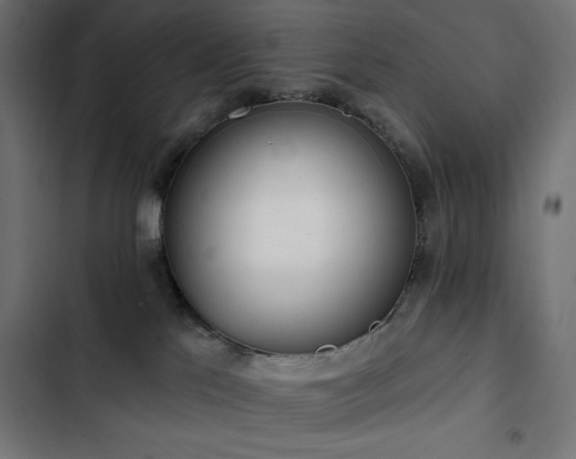 X0000103490041200809121725