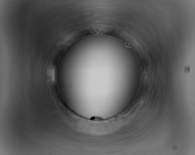 X0000103490042200809121725