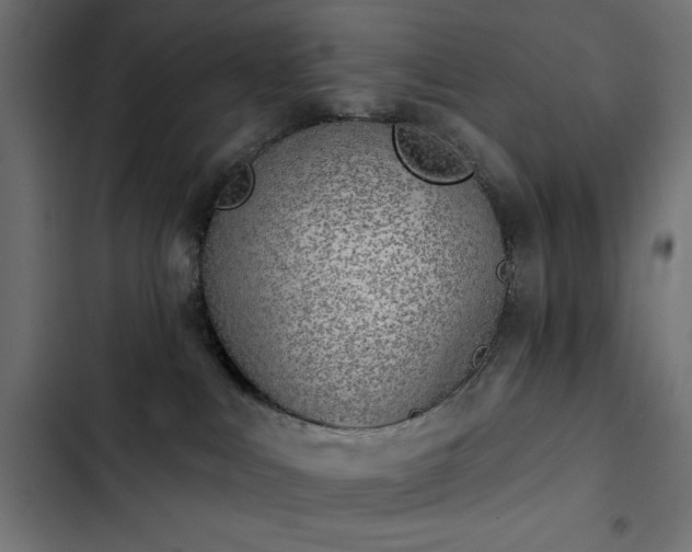 X0000103490043200809121725