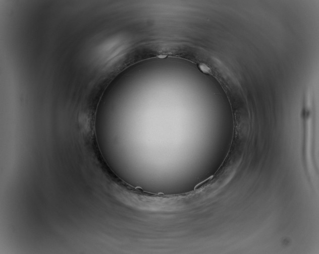 X0000103490044200809121725