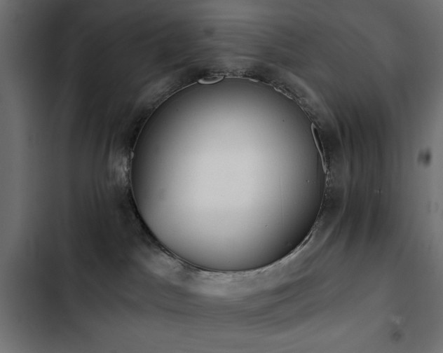 X0000103490045200809121725