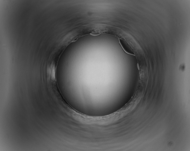 X0000103490046200809121725