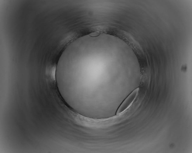 X0000103490047200809121725