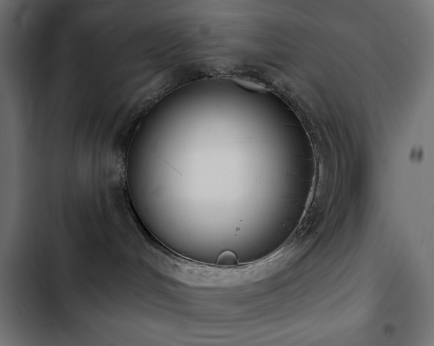 X0000103490048200809121725