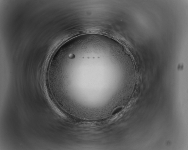 X0000103490049200809121724