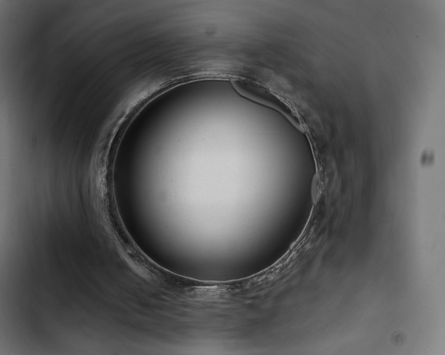 X0000103490050200809121724