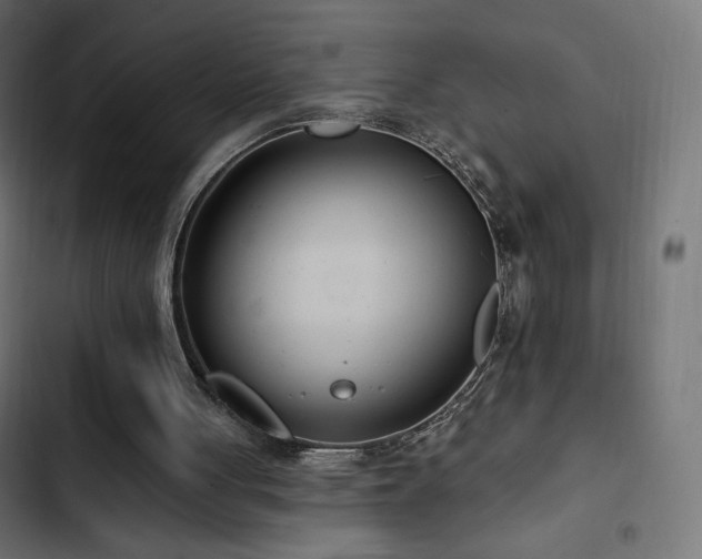 X0000103490051200809121724