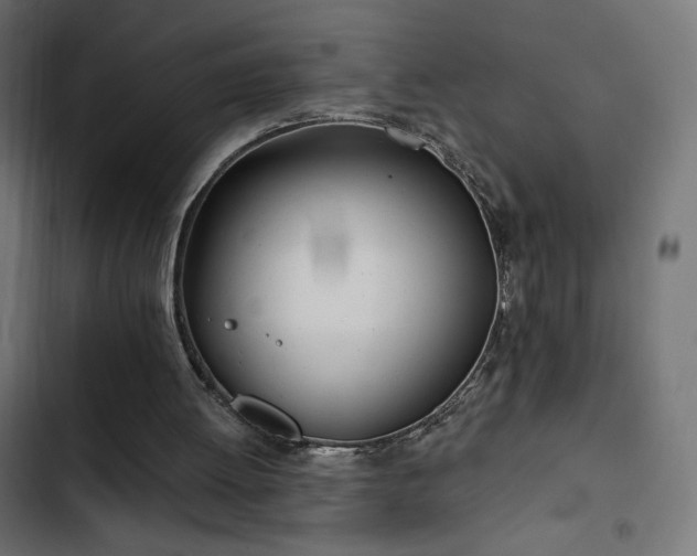 X0000103490052200809121724