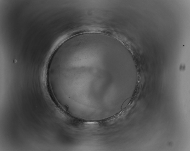 X0000103490053200809121724