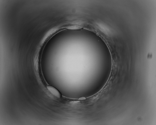 X0000103490054200809121724