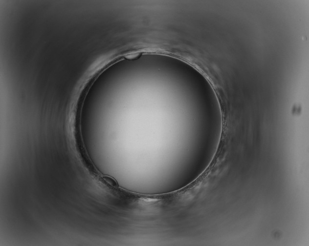 X0000103490055200809121724