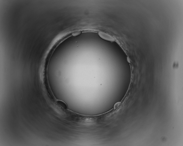 X0000103490056200809121724