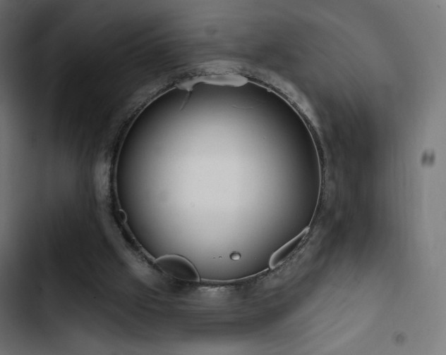 X0000103490057200809121724