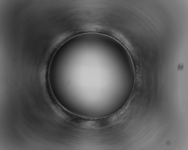 X0000103490058200809121724