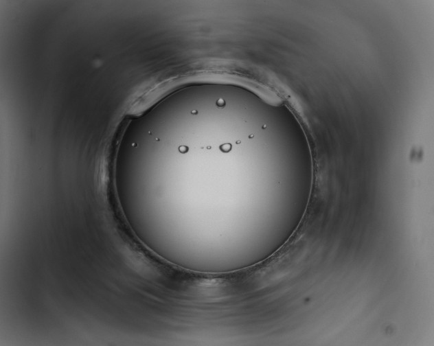 X0000103490059200809121724