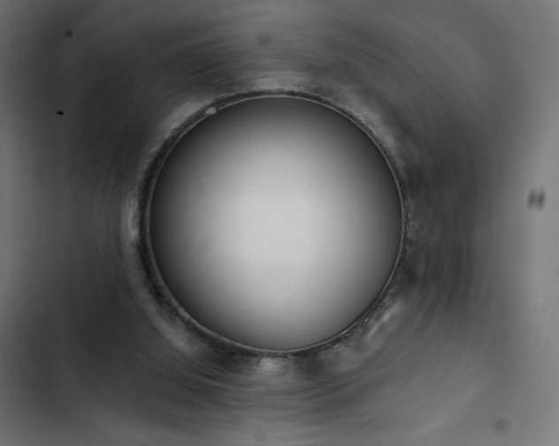 X0000103490060200809121724