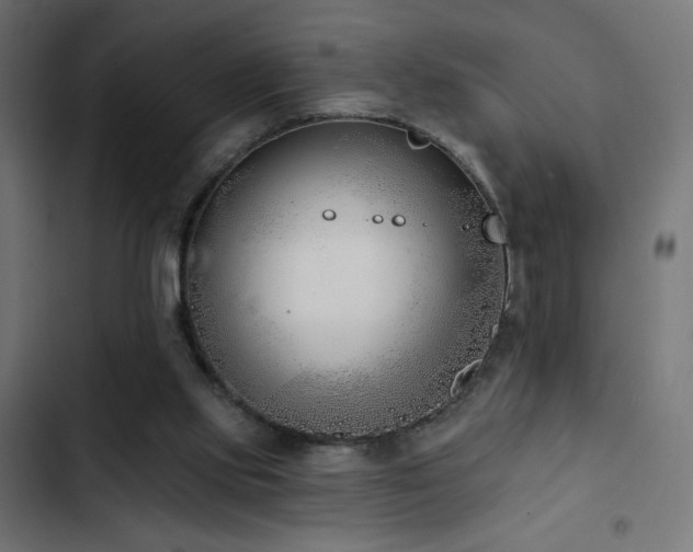 X0000103490061200809121724