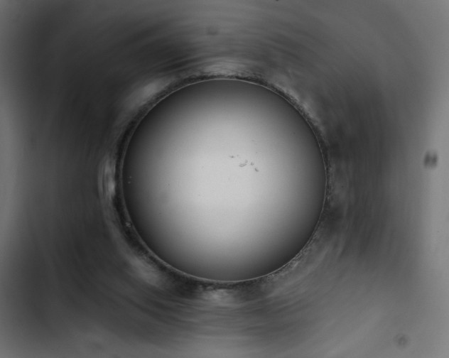 X0000103490062200809121724