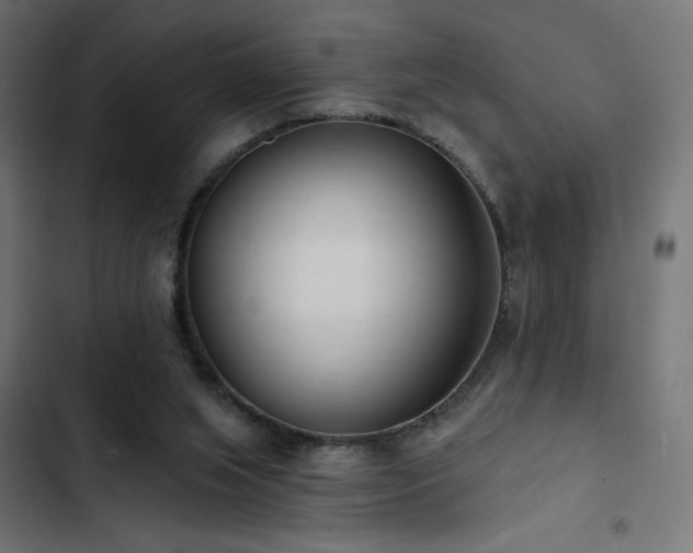 X0000103490063200809121724