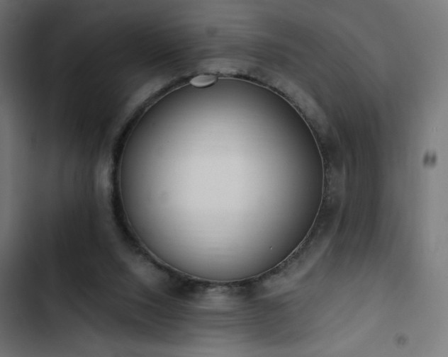 X0000103490064200809121724