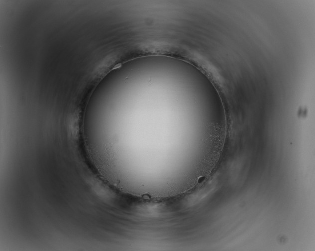 X0000103490065200809121724