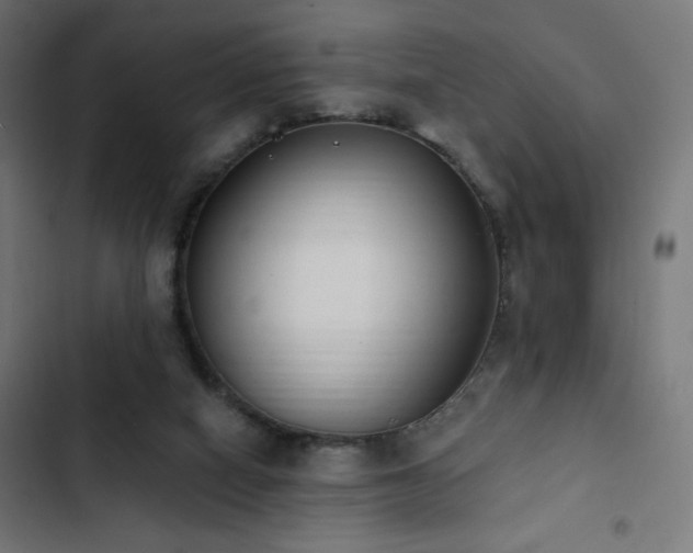 X0000103490066200809121724