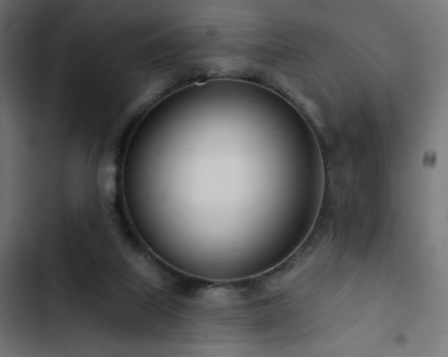 X0000103490067200809121724