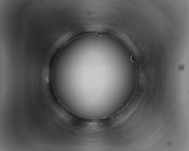 X0000103490068200809121724