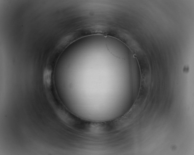 X0000103490070200809121724