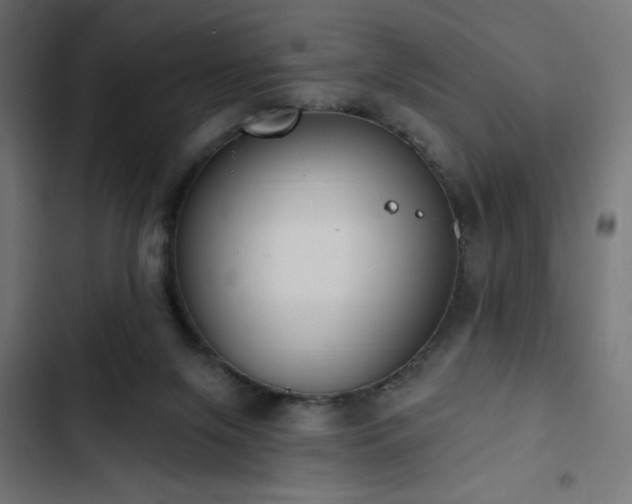 X0000103490071200809121724