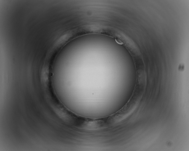 X0000103490072200809121724