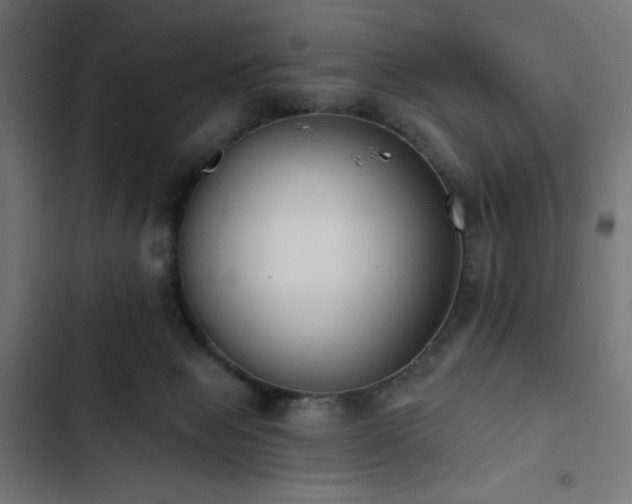 X0000103490077200809121725