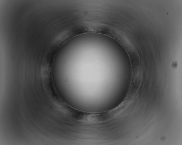 X0000103490078200809121725