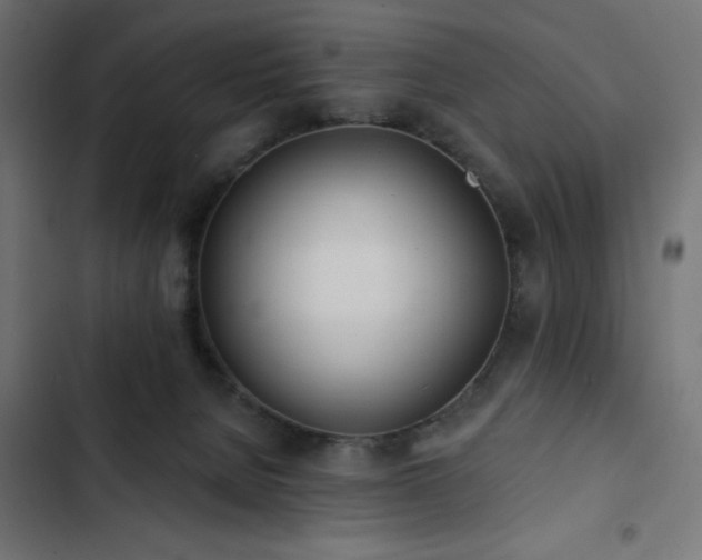 X0000103490080200809121725