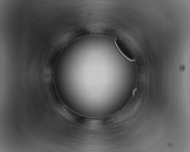 X0000103490081200809121725