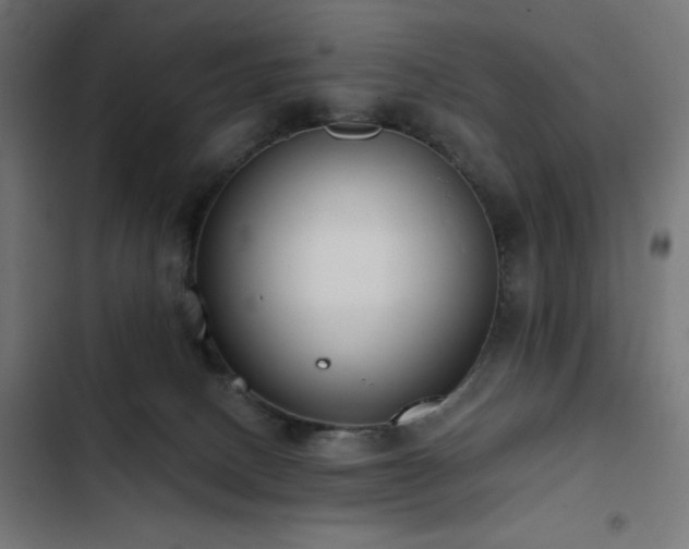 X0000103490082200809121725