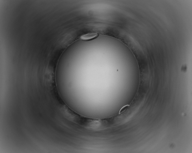 X0000103490083200809121725