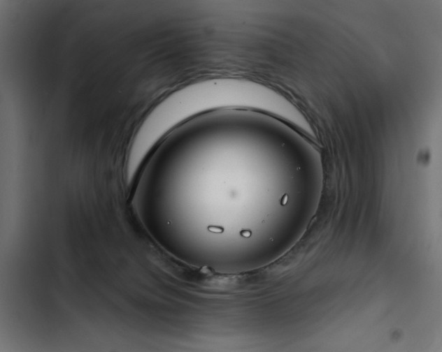 X0000103490084200809121725